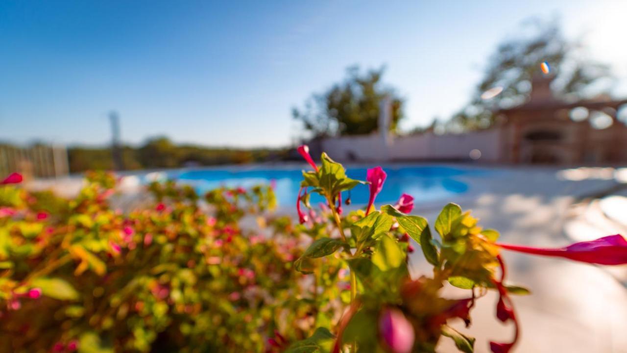 Villa Arton Heated Swimming-Pool Žminj 외부 사진